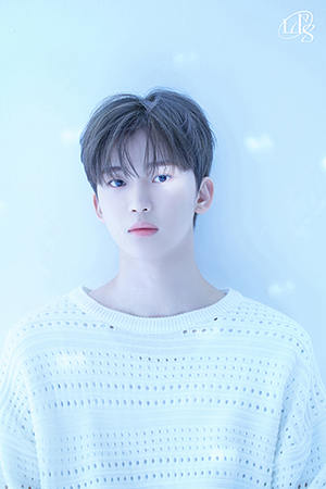 도현