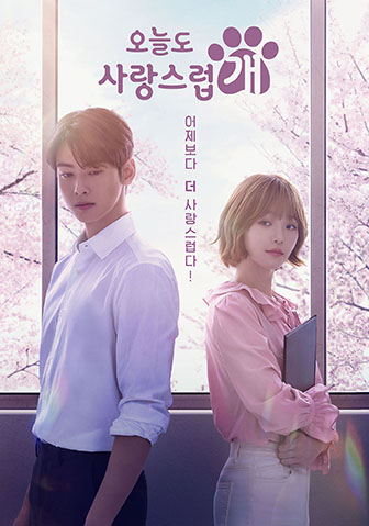 오늘도 사랑스럽개