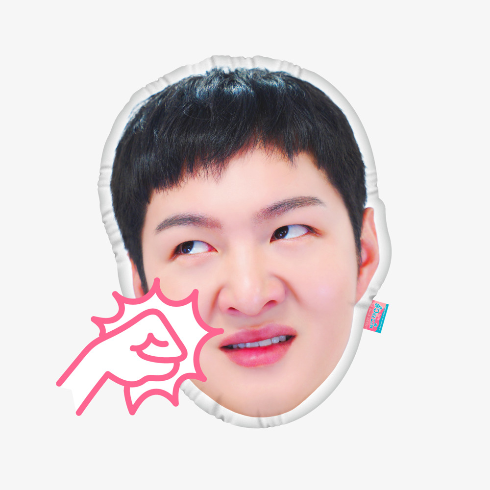 이창섭의 상스러운 발상: 보이스 펀치 쿠션
